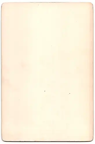 Fotografie Franz Hanfstaengl, München, Gemälde Die Werbung nach T. Conti
