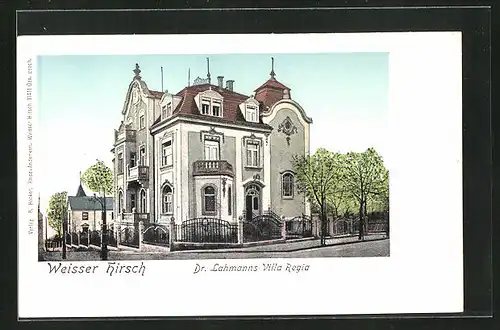 AK Dresden-Weisser Hirsch, Dr. Lahmann`s Villa Regia