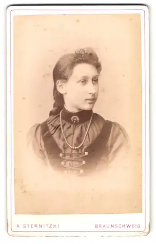 Fotografie A. Sternitzki, Braunschweig, Steinweg 10, Mädchen im hochschliessenden Kleid