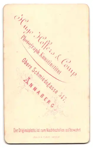 Fotografie Hugo Hoffers & Co., Annaberg, Obere Schmiedegasse 547, Portrait eines Dandys