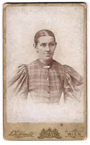 Fotografie J. K. Schmidt, Wien-Brigittenau, Wintergasse 17, Portrait bürgerliche Dame mit zurückgebundenem Haar