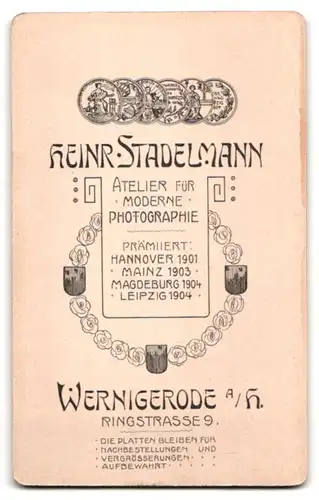 Fotografie Heinr. Stadelmann, Wernigerode, Ringstrasse 9, Portrait süsses Kleinkind im Kleid mit Bilderbuch
