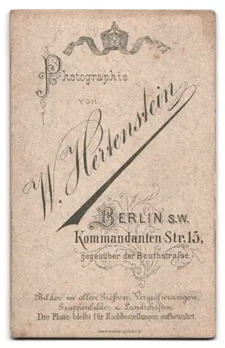 Fotografie W. Hertenstein, Berlin-SW, Kommandanten-Strasse 15, Portrait junger Herr mit Bürstenschnitt