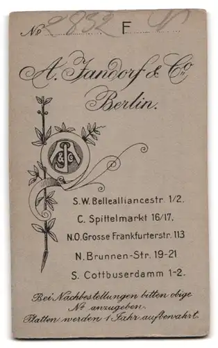 Fotografie A. Jandorf & Co., Berlin-SW, Bellealliancestrasse 1-2, Portrait junges Mädchen im Kleid