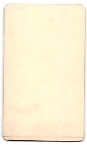 Fotografie Ch. Lauban, Paris, 197, Bd. Voltaire, Brustportrait bürgerliche Dame mit Kragenbrosche und Halskette