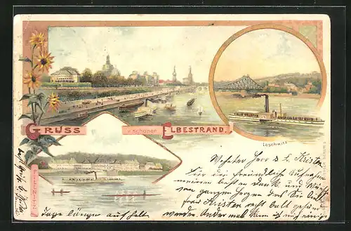 Lithographie Dresden-Loschwitz, Elbestrand mit Booten, Brücke und Dampfer, Teilansicht