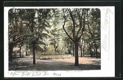 AK Dresden-Neustadt, Linckesches Bad, Park mit Rosenbeet