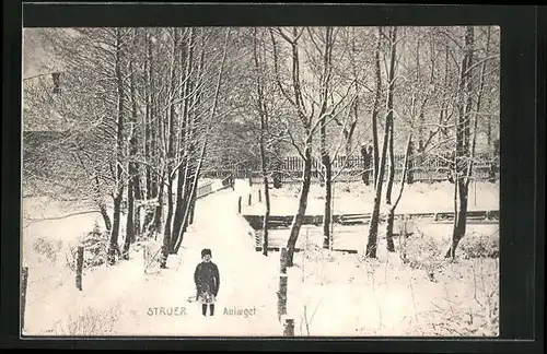 AK Struer, Anlaeget, Park im Winter