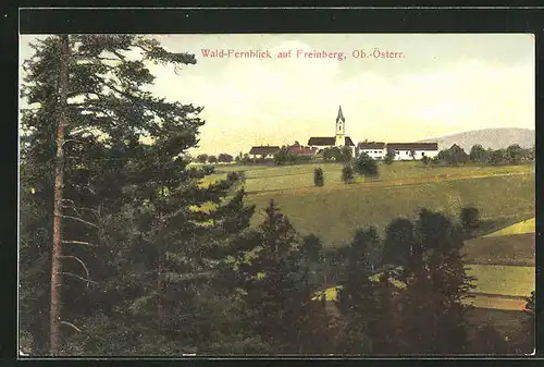 AK Freinberg, Wald-Fernblick auf Ortschaft