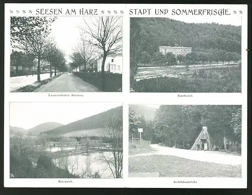 Klapp-AK Seesen / Harz, Lautenthaler Strasse, Kurhotel, Kurpark & Schildauköthe