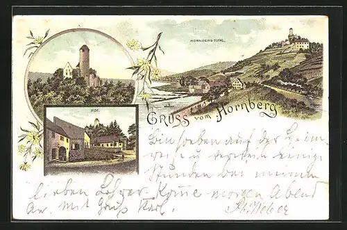 Lithographie Hornberg b. Neckarzimmern, Ruine, Hof, Totalansicht