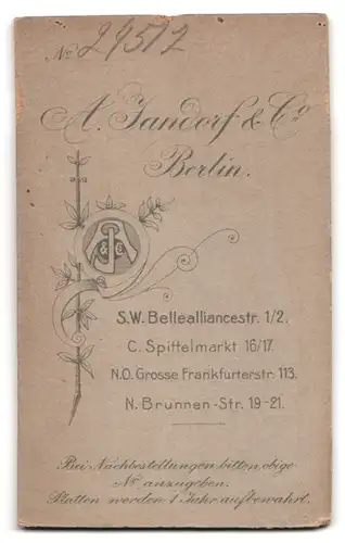 Fotografie A. Jandorf & Co., Berlin, Belle-Alliance-Str. 1 /2, Portrait Frau in schöner Bluse