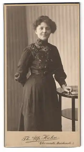 Fotografie Th. Alfred Hahn, Chemnitz, Brückenstrasse 5, Portrait bürgerliche Dame im bestickten Kleid