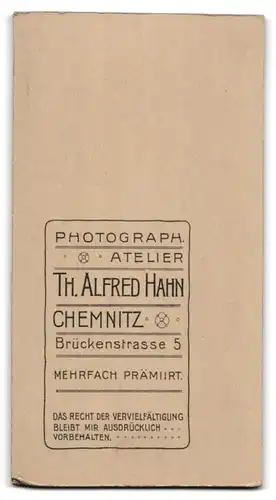 Fotografie Th. Alfred Hahn, Chemnitz, Brückenstrasse 5, Portrait bürgerliche Dame im bestickten Kleid