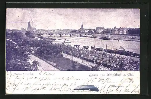 AK Frankfurt a.M., Totalansicht mit Brücke und Kirchen