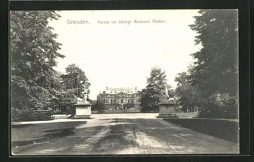 AK Dresden, Palais im königlichen Grossen Garten
