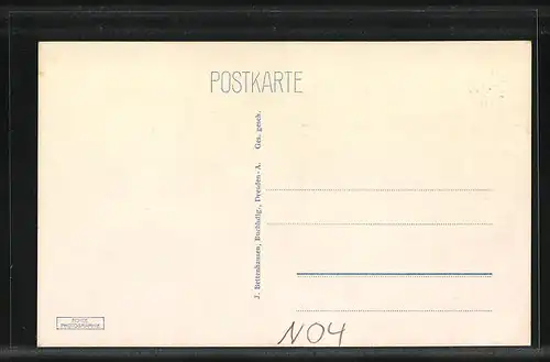 AK Dresden-Loschwitz, Blick von der Loschwitzhöhe auf Dresden