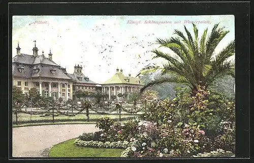 AK Dresden-Pillnitz, Königlicher Schlossgarten mit Wasserpalais
