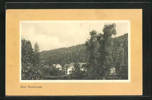 AK Bad Niedernau, Teilansicht mit umgebendem Wald