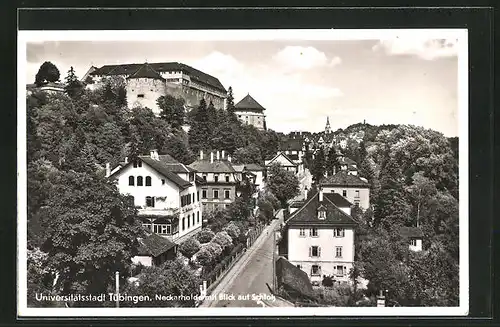 AK Tübingen, Neckarhalde mit Blick auf Schloss