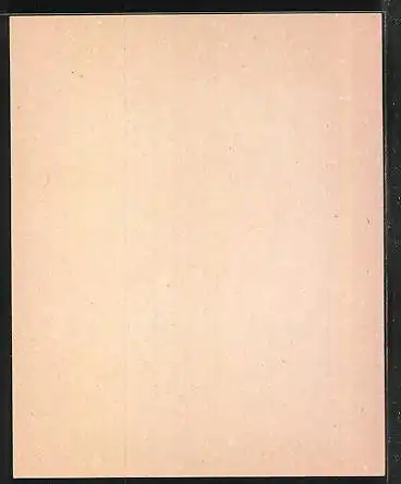 Exlibris Theod. Röhmeyer, Frau reitet Pegasus in der Nacht