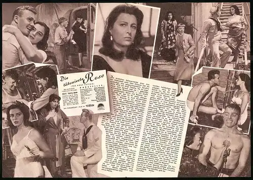 Filmprogramm IFB Nr. 3177, Die tätowierte Rose, Burt Lancaster, Anna Magnani, Regie: Daniel Mann