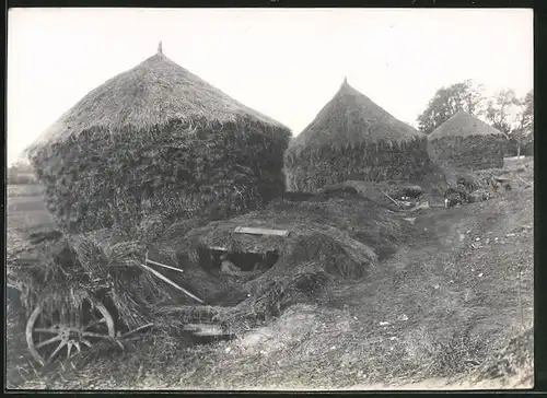 Fotografie 1.WK, Königl. Bayrische 1.Feldartillerie-Regiment Prinz Luitpold, getarnte Artillerie-Stellung