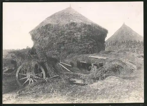 Fotografie 1. WK, Königl. Bayrische 1.Feldartillerie-Regiment Prinz Luitpold, getarnte Artilleriestellung