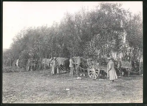 Fotografie 1. WK, Königl. Bayrische 1.Feldartillerie-Regiment Prinz Luitpold, Feldartillerie auf dem Marsch