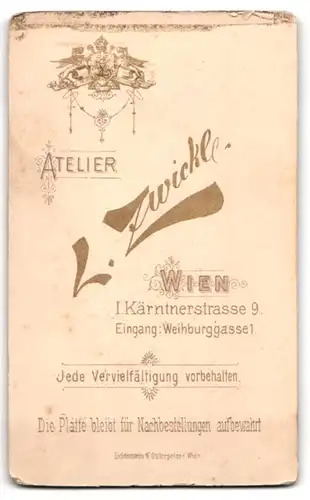 Fotografie L. Zwickl, Wien, Körntnerstrasse 9, Eingang Weihburggasse 1, Brustportrait junge Dame mit Hochsteckfrisur