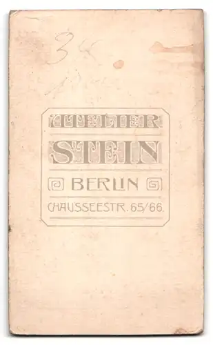 Fotografie Wilhelm Stein, Berlin, Chausseestrasse 65 /66, Portrait halbwüchsiger Knabe im Anzug mit Fliege