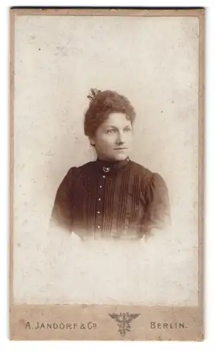 Fotografie A. Jandorf & Co., Berlin-C., Spittelmarkt 16-17, Portrait junge Dame mit zeitgenössischer Frisur