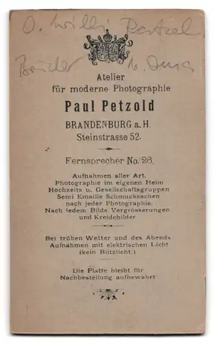 Fotografie Paul Petzold, Brandenburg a. H., Steinstrasse 52, Portrait halbwüchsiger Knabe im Anzug mit Fliege