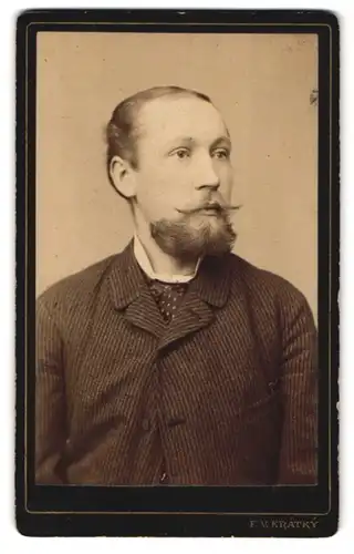 Fotografie F. V. Kratky, Kolin, Portrait Herr im dunklen Anzug mit Pünktchenkrawatte und Zwirbelbart