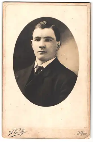 Fotografie A. Vesely, Pilsen, Portrait junger Mann im Anzug mit Schlips und gestylten Haaren
