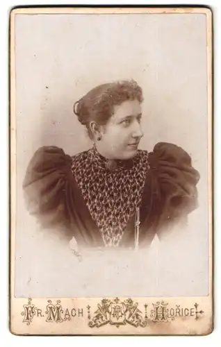 Fotografie Fr. Mach, Horicich, Portrait Dame im Biedermeierkleid mit Puffärmeln und Locken