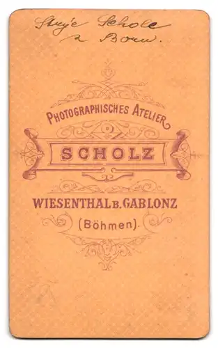 Fotografie Scholz, Wiensenthal, Portrait dicker Herr Schole im karierten Anzug mit Fliege