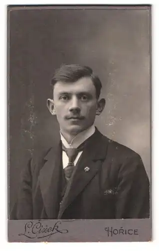 Fotografie L. Cizek, Horice, Portrait junger Mann im Anzug mit Schlips und Segelohren