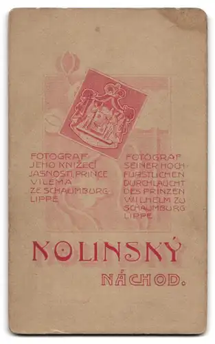 Fotografie Kolinsky, Nachod, Portrait Dame im gestreiften Kleid mit Locken