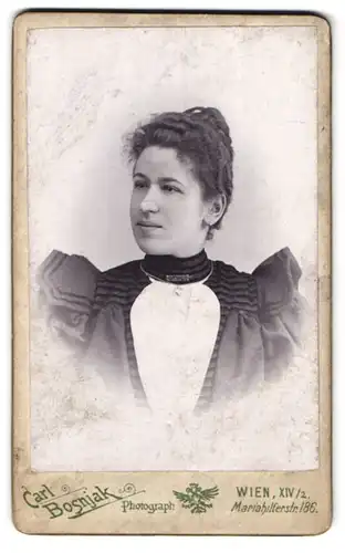 Fotografie Carl Bosnjak, Wien, Mariahilferstr. 186, Portrait junge Frau im Biedermeierkleid mit Brische und Locken