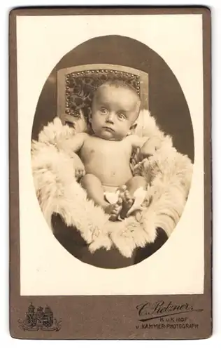 Fotografie C. Pietzner, Brünn, Portrait Fritz Hoschek mit 8 Monaten auf einem Fell liegend