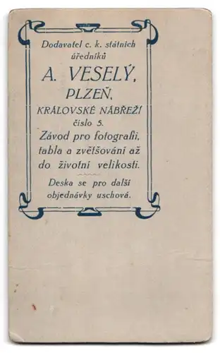 Fotografie A. Vesely, Plzen, Portrait Dame im gestreiften Kleid mit Perlenkette