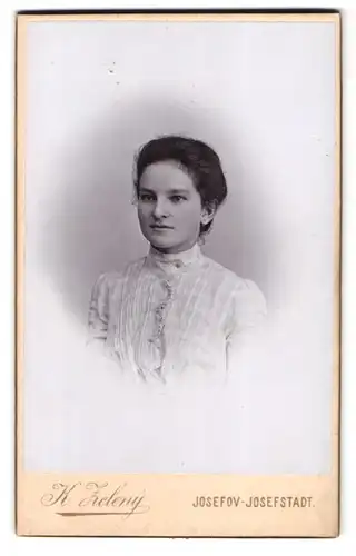 Fotografie K. Zeleny, Josefstadt, Portrait junge Frau im karierten Kleid mit toupierten Haaren
