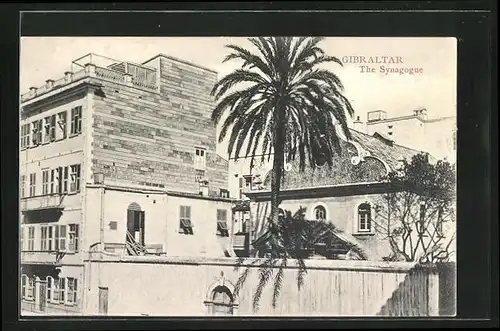 AK Gibraltar, The Synagogue, Palmtree