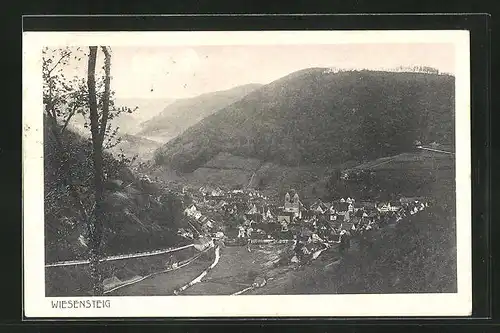 AK Wiesensteig, Blick auf Ort im Tal