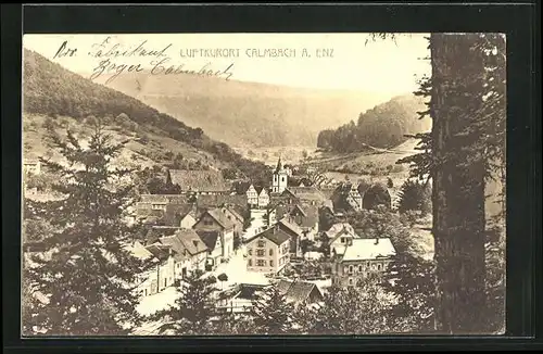 AK Calmbach a. Enz, Gesamtansicht mit Hügeln