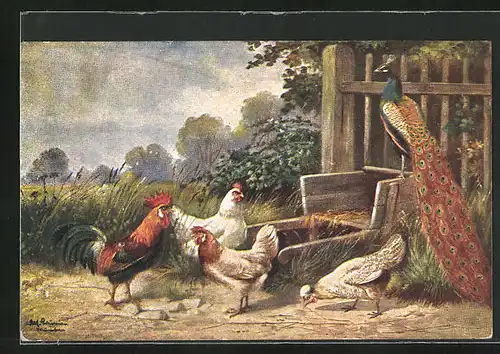 Künstler-AK Alfred Schönian: Hühner an einem Heukarren, Pfau