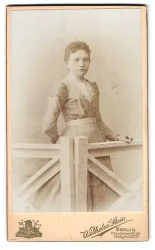 Fotografie Wilhelm Stein, Berlin, Chausseestr. 66, Portrait brünettes Fräulein im Kleid am Geländer stehend