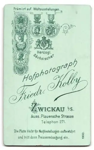 Fotografie Friedr. Kolby, Zwickau i. S., Äuss. Plauensche Strasse, Portrait bildschöne Dame mit Stickerei am Blusenkragen