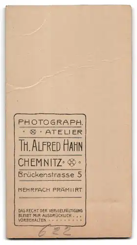 Fotografie Th. Alfr. Hahn, Chemnitz, Brückenstr. 5, Portrait blondes Fräulein mit Haarschleife und Fächer